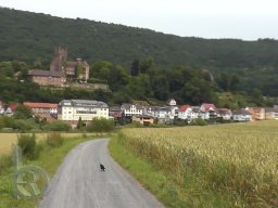 |QDT2012|Baden-Württemberg|Neckarradweg|Zwingenberg